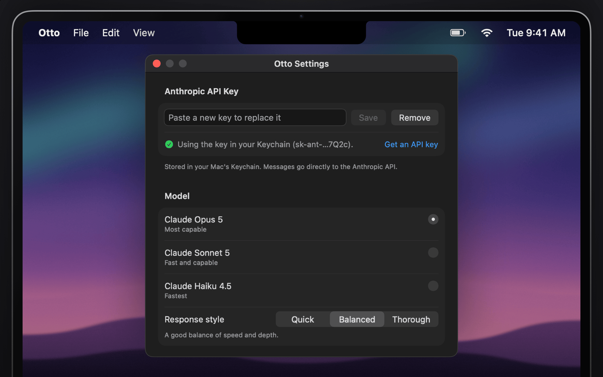 Otto's Settings window with the API key field, model picker and web access options
